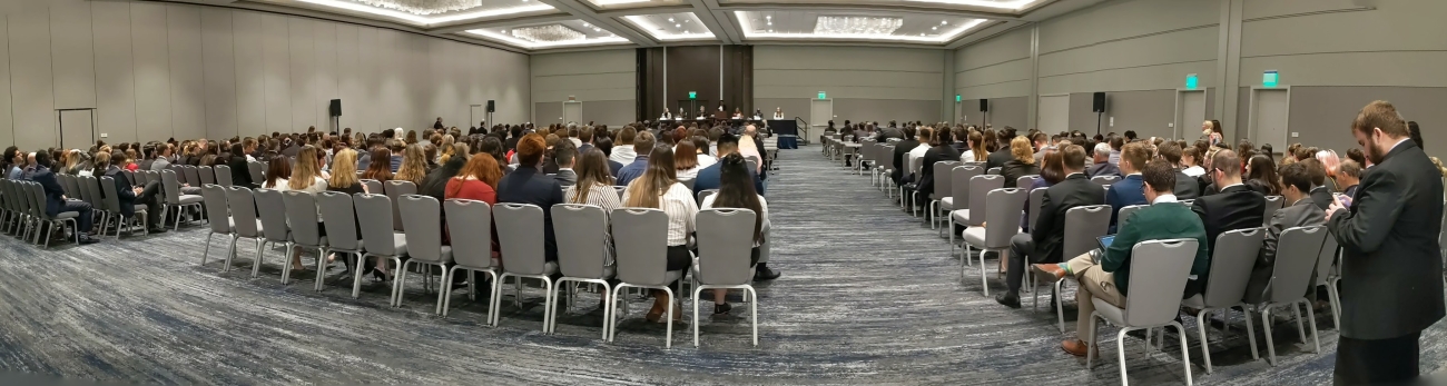 Model United Nations